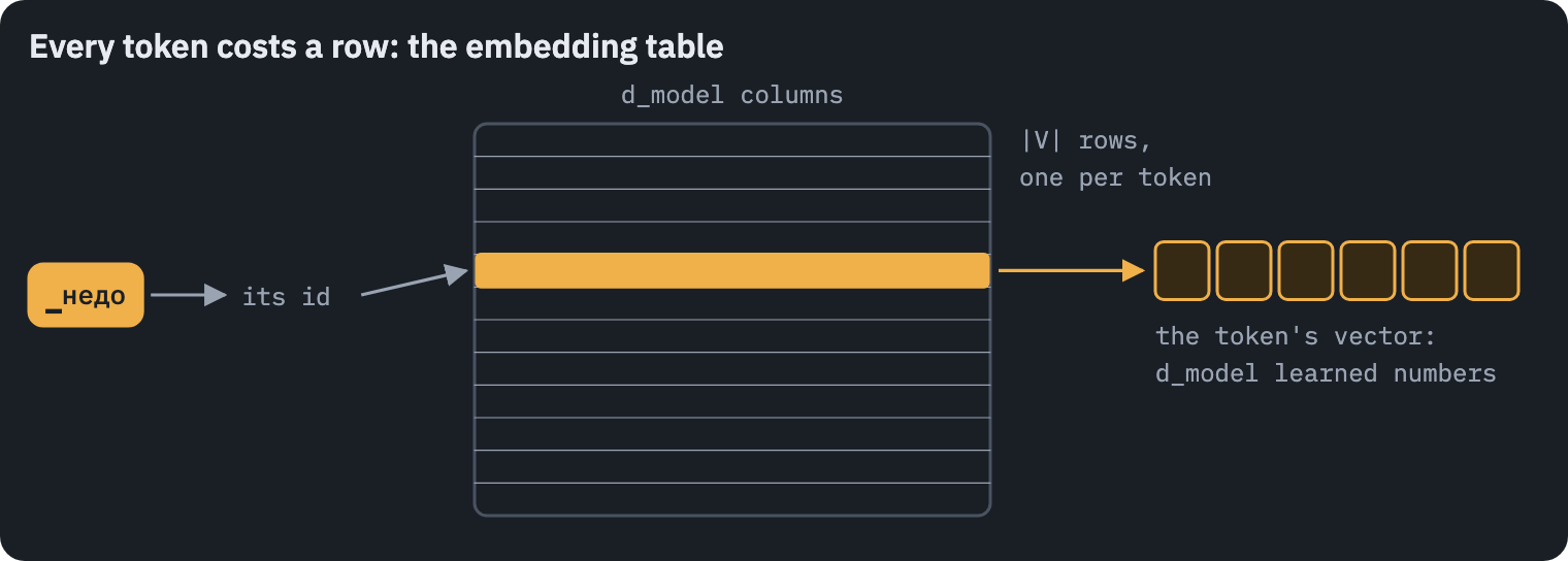 The embedding table has one row per token and d_model columns; a token's id selects its row, a vector of d_model learned numbers; the table holds |V| times d_model parameters