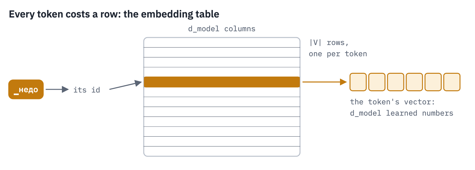 The embedding table has one row per token and d_model columns; a token's id selects its row, a vector of d_model learned numbers; the table holds |V| times d_model parameters