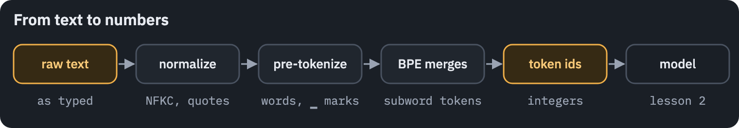 Raw text is normalized, split into words, merged into subword tokens by BPE and mapped to integer ids that the model reads